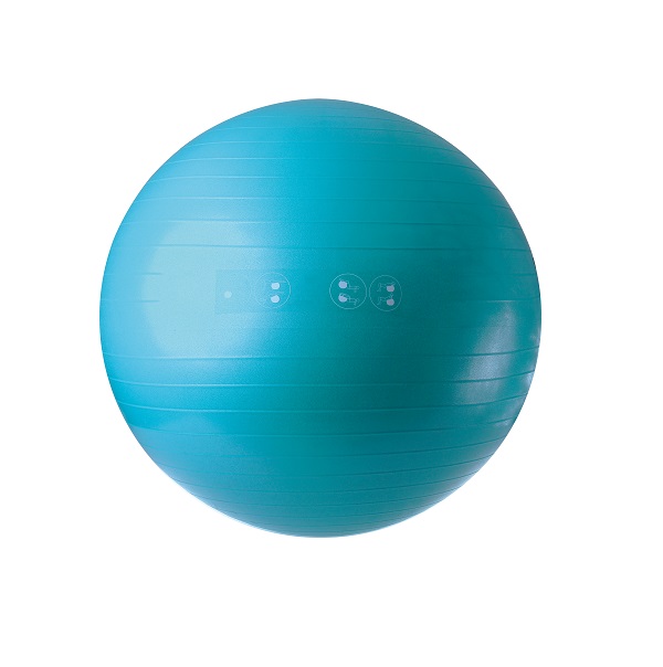 G003-Gym Ball